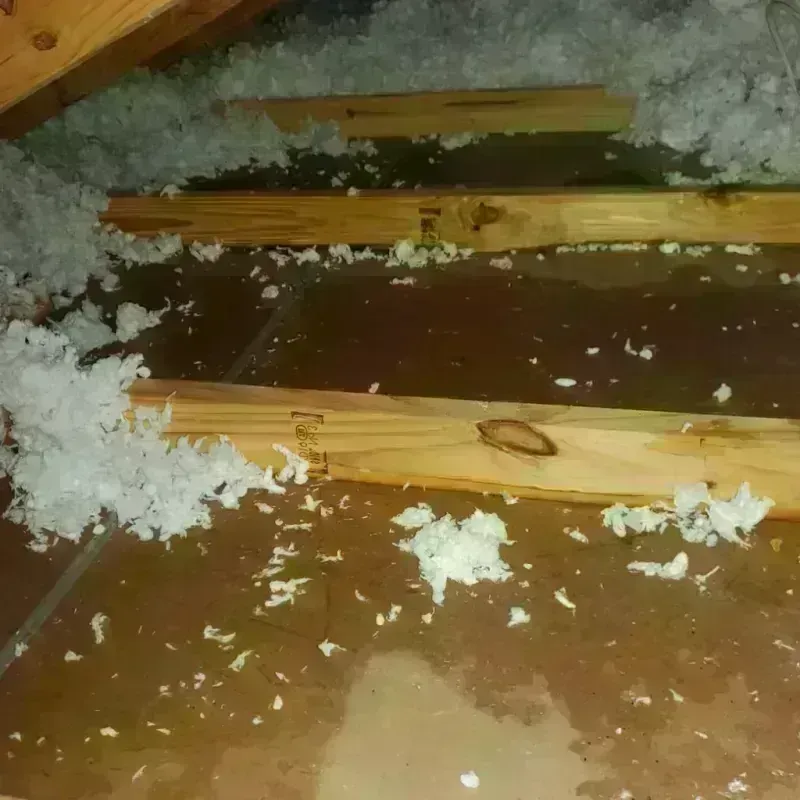 Attic Water Damage in Pike County, GA