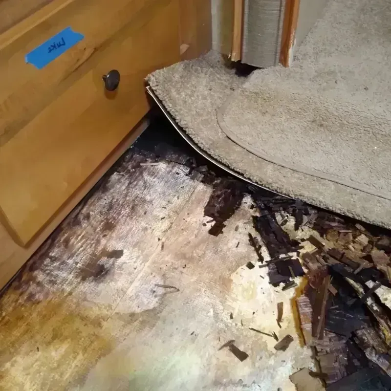 Wood Floor Water Damage in Pike County, GA